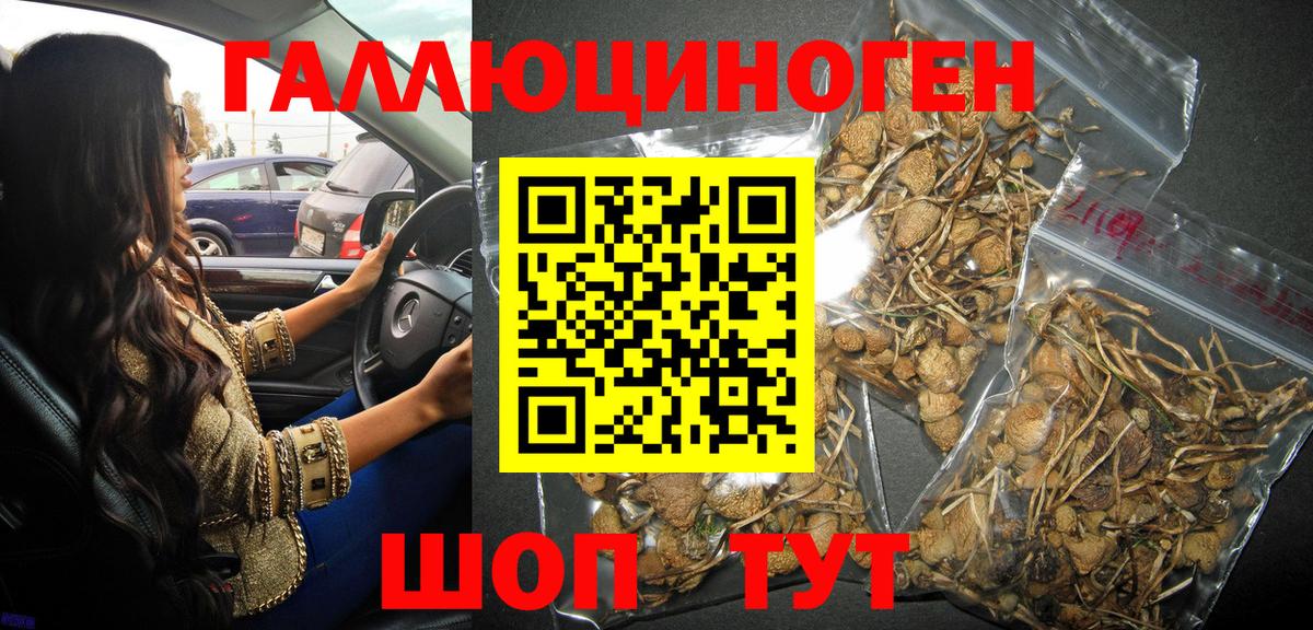 Клин  наркотики  Вход с VPN  Псилоцибиновые грибы мухоморы  Псилоцибиновые грибы Cubensis 