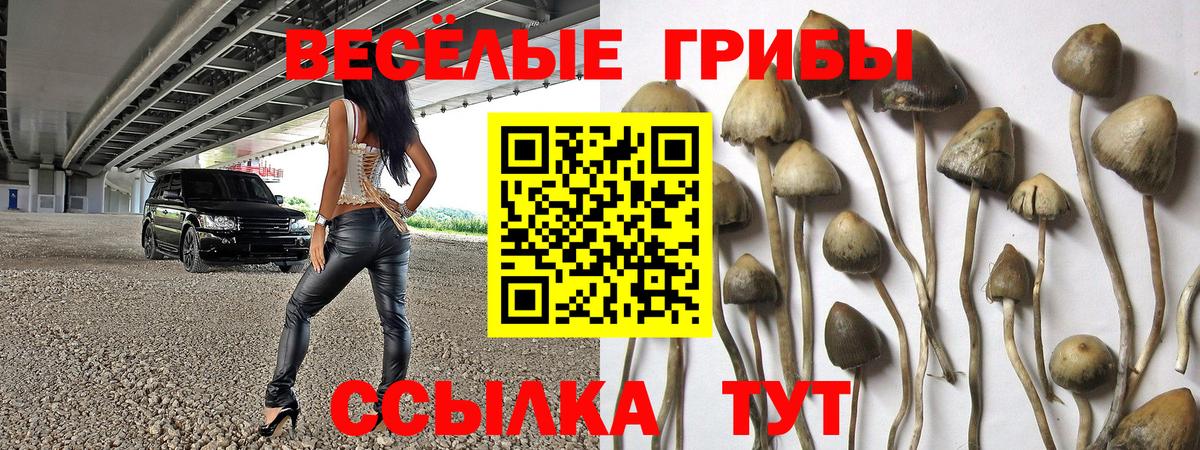 Псилоцибиновые грибы мухоморы Клин